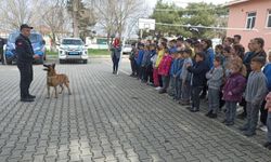 Edirne'den kısa kısa