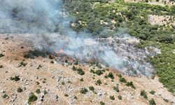 Ayvacık'ta makilik alanda çıkan yangın söndürüldü