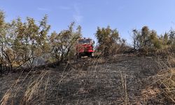 Çanakkale'de köyde otluk alanda çıkan yangın evlere sıçramadan söndürüldü