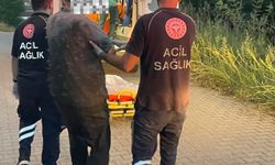 Kırklareli'nde dereye düşen kişi itfaiye ekiplerince kurtarıldı