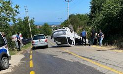 Sakarya'da devrilen kamyonetin sürücüsü yaralandı