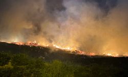 Sarıyer'de otluk alanda çıkan yangına müdahale ediliyor