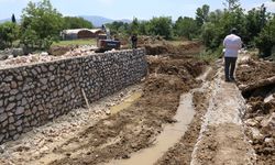 Yalova'da dere ıslahından etkilenen kaplumbağalar taşındı