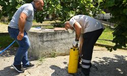 Beylikdüzü'nde ilaçlamalar sürüyor