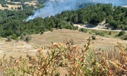 Bilecik'te tarlada çıkan yangın söndürüldü