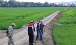 Edirne Tarım ve Orman Müdürü Bayazıt, Tunca Nehri havzasında incelemede bulundu