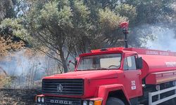 Kırklareli'nde ağaçlık alana sıçrayan anız yangını söndürüldü