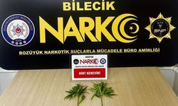 Bilecik'te asayiş