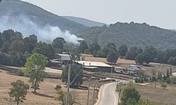 Bursa'da ormanlık alanda çıkan yangın söndürüldü