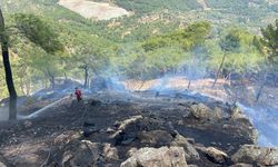 Çanakkale'de ormanlık alanda çıkan yangın kontrol altına alındı