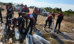 Kırklareli'nde gölet ve barajlara 205 bin sazan yavrusu bırakıldı