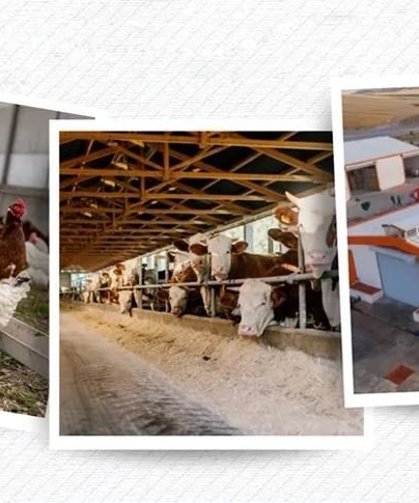 IPARD III sonuçları açıklandı 218 projeye 2,5 milyar TL hibe