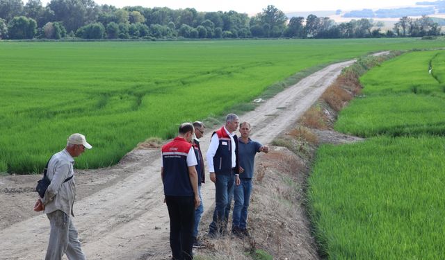 Edirne Tarım ve Orman Müdürü Bayazıt, Tunca Nehri havzasında incelemede bulundu