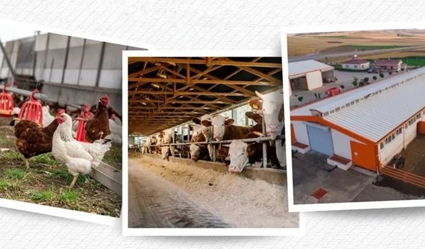 IPARD III sonuçları açıklandı 218 projeye 2,5 milyar TL hibe